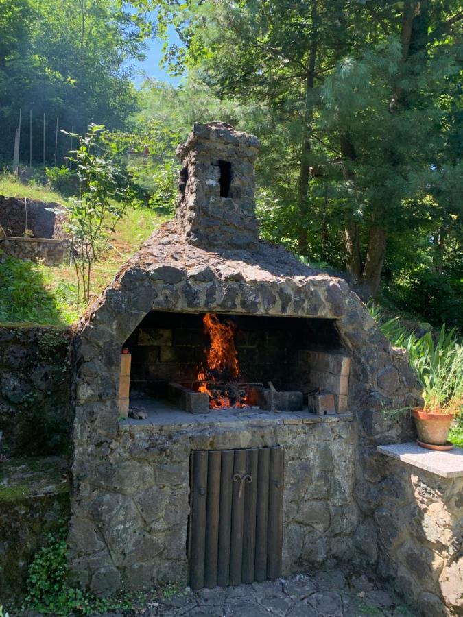Holiday Home Dragonfly River House On Korana Near Plitvice And Mreznica Barilovic Ngoại thất bức ảnh